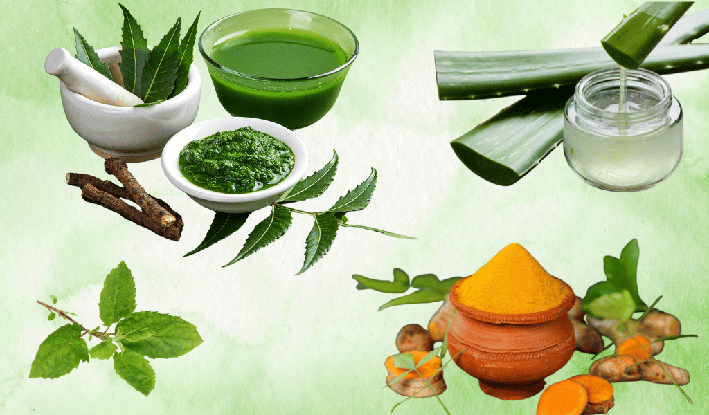 ingredients-acne